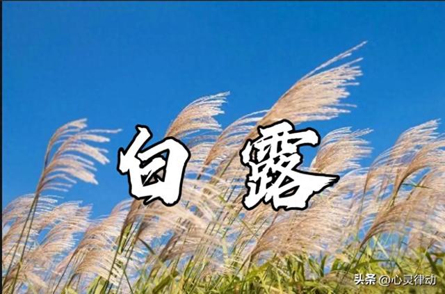 “白露在头，三九穿单衣；白露在尾，三九冻死牛”,今年白露在哪?
