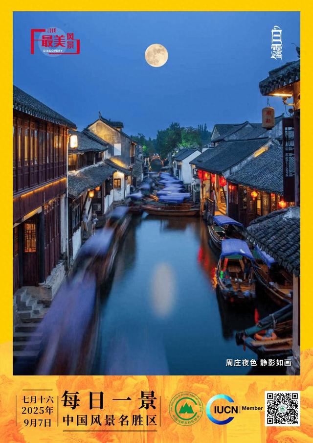 每日一景 | 周庄夜色 静影如画