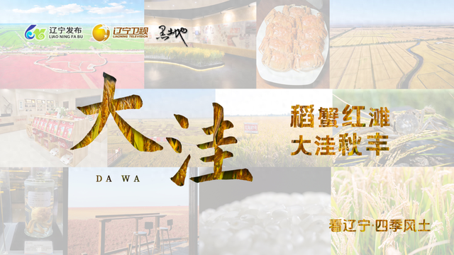 看辽宁·四季风土 | 稻蟹红滩 大洼秋丰