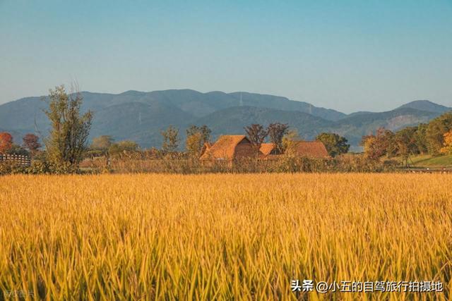 良渚古城一日游攻略｜穿越 5000 年文明，高效打卡世界遗产