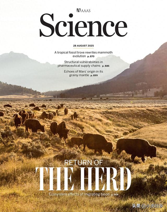 清华、上交、中大、浙农林大等在最新顶刊《Science》发表成果