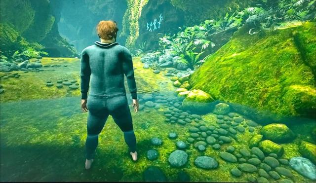 蘑菇屋指东西游戏（一步一脚印的配置要求以及优化技巧大攻略）