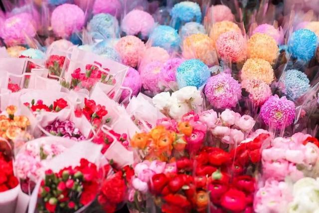 重磅！宝安迎春花市、新春花展要来啦！