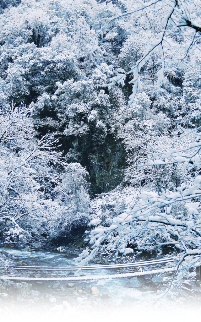藏不住了！喇叭河冬日限定奖牌登场，解锁秘境打卡新姿势！