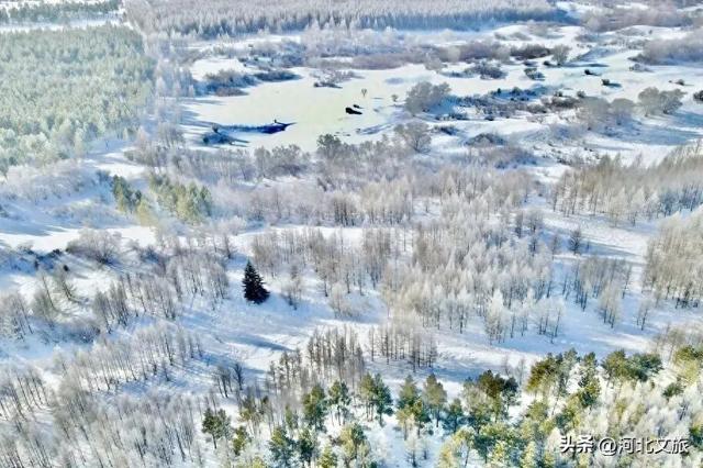 御道口草原森林风景区：草原换银装，森林藏冬韵！