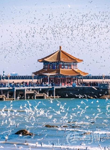 青岛十大冬季文旅新场景上线 解锁山海之城冬日多元乐趣