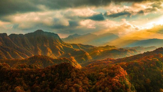 四川光雾山国际红叶节邀老广，10月去看“亚洲最长红地毯”
