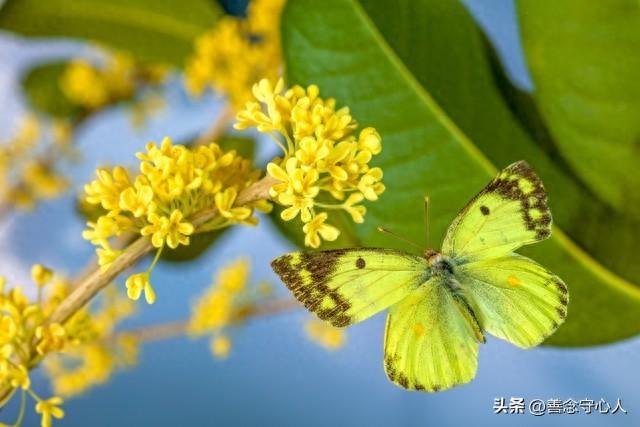 两性关系：情人已过时，现在流行5种关系，你属于哪一种？