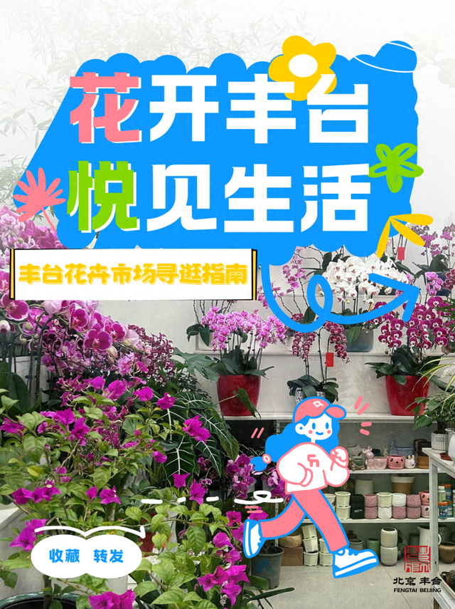 丰台这7家宝藏花卉市场，承包你冬日的盎然“生机”