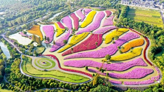 金山朱泾：一路向新 “泾”彩绽放