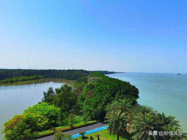 广州最大的公园，相当于7.7个越秀公园，环境好，遛娃拍照好去处