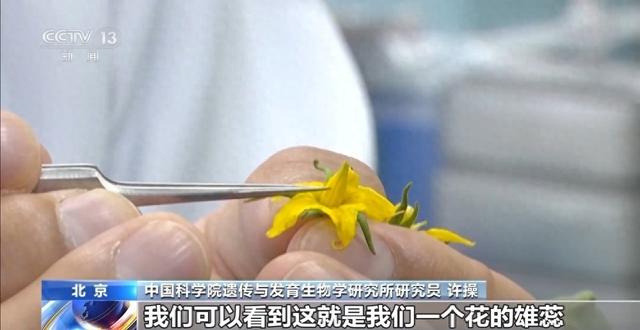 我国研制出世界首台智能育种机器人“吉儿” 取得重要突破