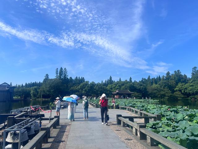 夏日西湖，8月9日。