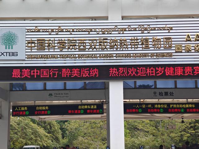 在植物园里寻找哲理