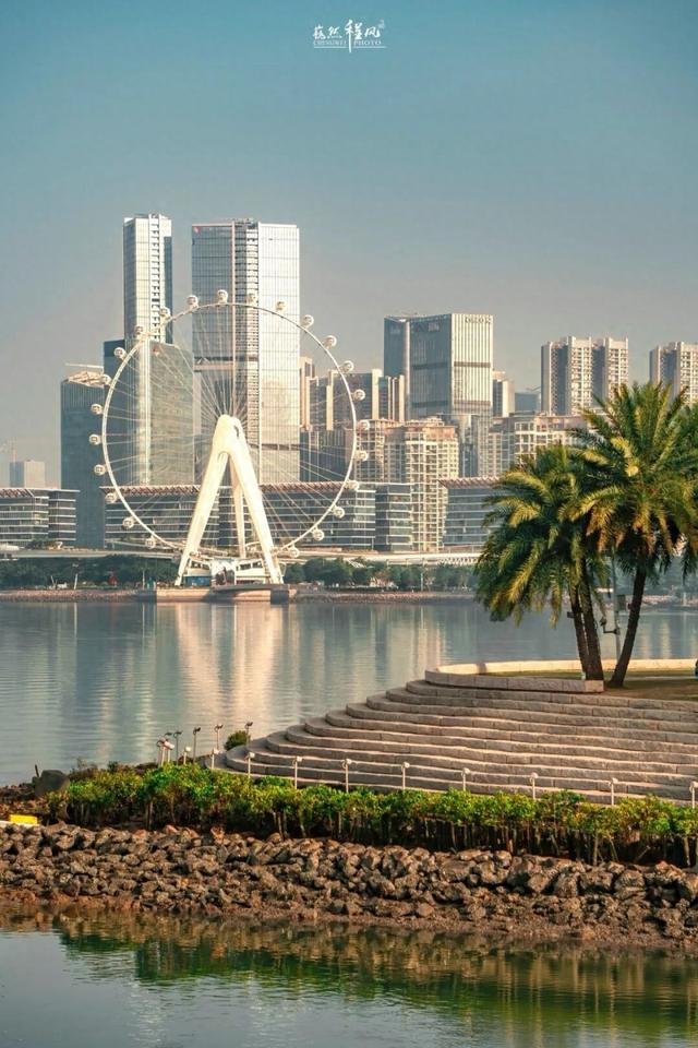 漫步前海：邂逅花海、踏浪听风，在摩天轮下收藏一城浪漫
