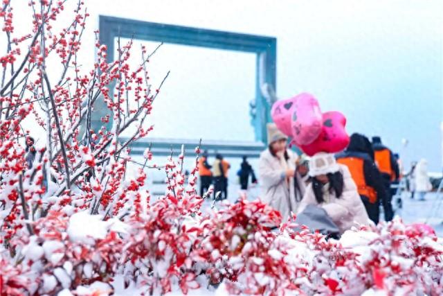 冬游威海 情满山海丨雪韵威海，如诗如画！