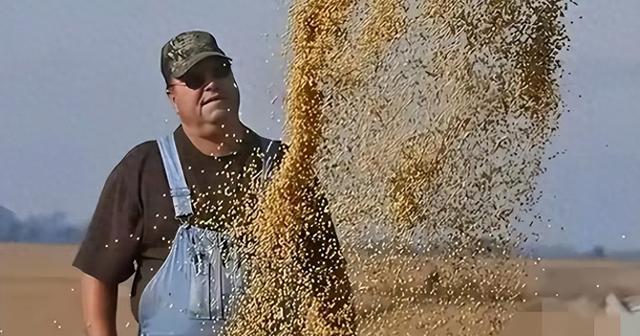 阿根廷大豆关税一夜归零！10艘中国货船掉头抢粮，全用人民币结算