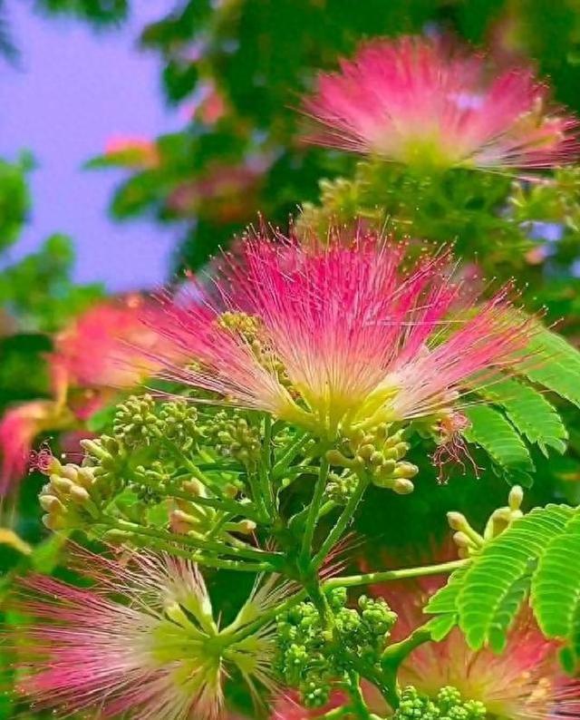 情感：女人过中年，最渴望的“肉麻	”行为竟然是这些！