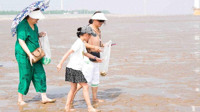 滩涂寻蛤、渔港抢鲜……上海家庭乐游如东之“鲜”