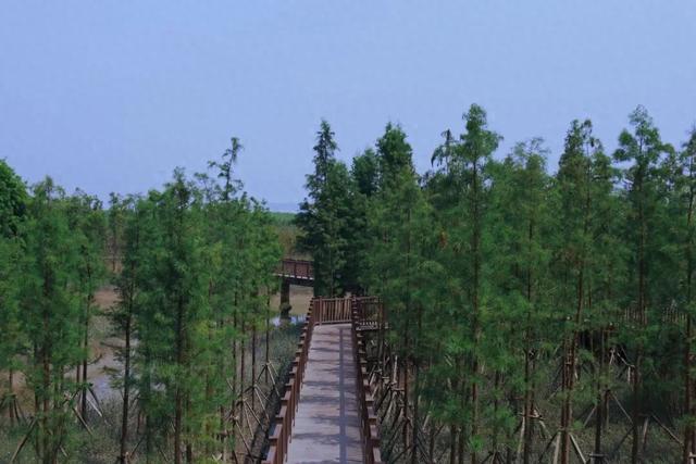 来苏州的村里，体验悠闲慢生活