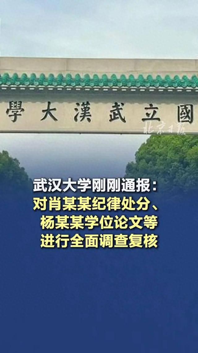 武大通报反转，撤肖某瑫处分留杨某媛学位，高校制度该反思