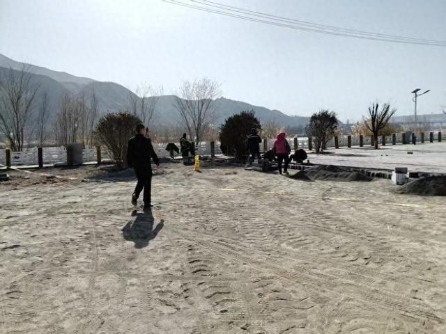 【达川水镇】达川镇：以“路”为媒 护航“天鹅游”