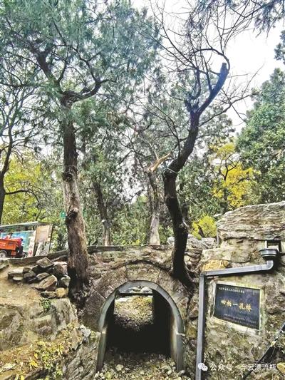 石景山四柏一孔桥：时光造就的共生景观