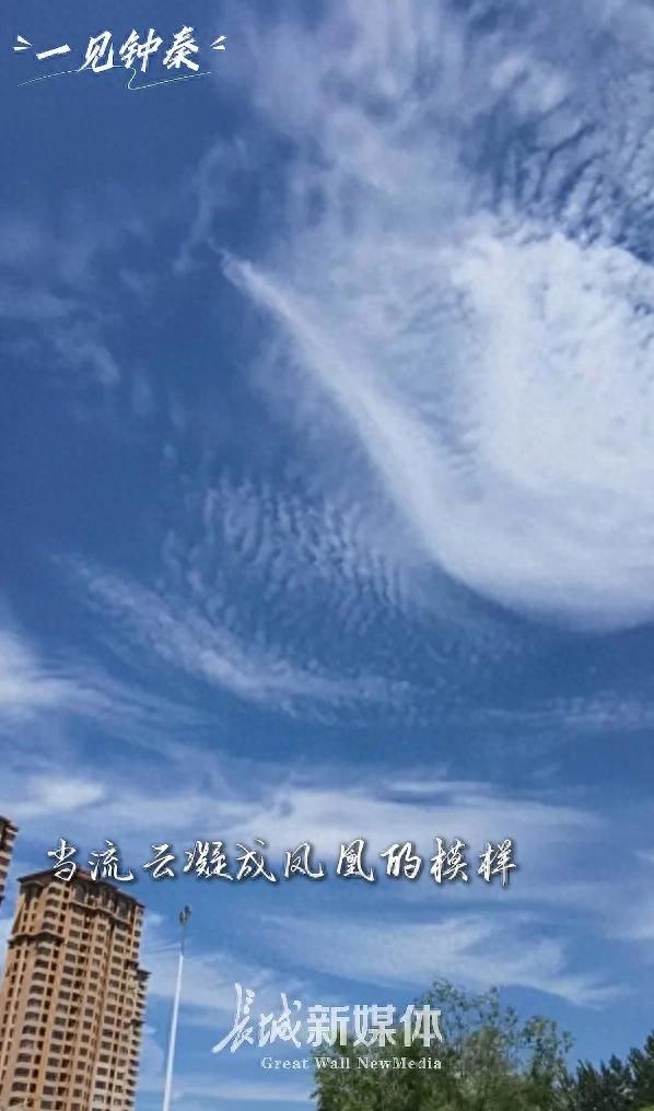 秦皇岛今天怎么了?