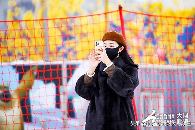 冰上飞驰+雪上撒欢！御河冰雪乐园承包市民冬日欢腾