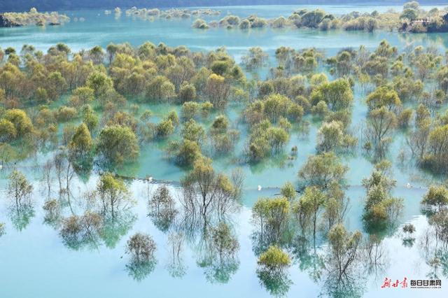 文县初冬藏着最动人的江河秘境