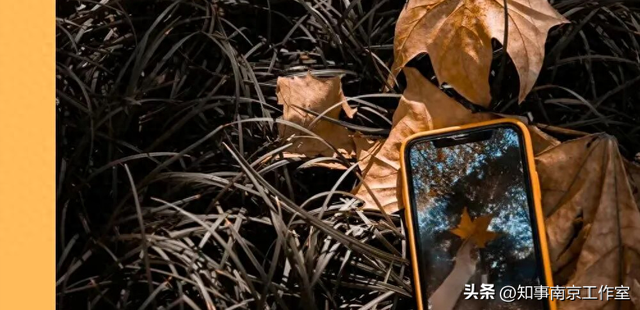 这块南京顶流打卡地居然变成这样了？