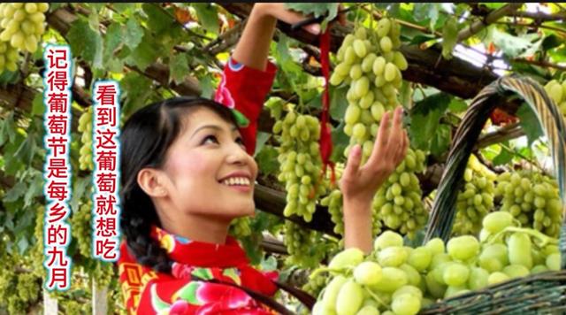 宣化我第二故乡