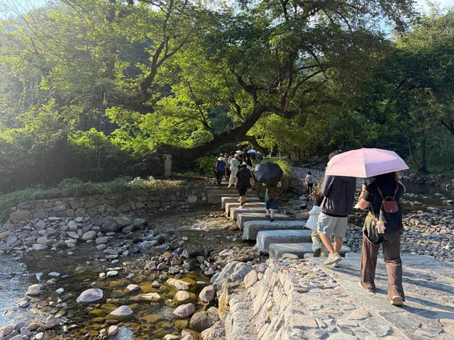 在森林溯溪中解锁夏日清凉密码，怀化沅陵借母溪等你来