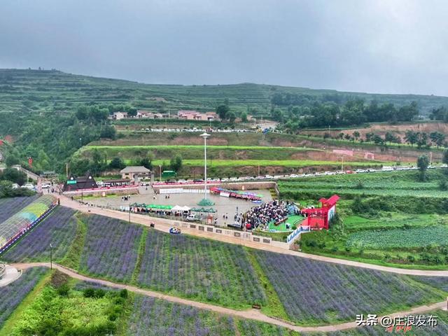 通化镇第一届文化旅游节暨乡村新风行动开幕式举办
