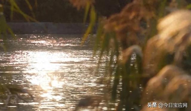 运河风吹来老大桥的回忆