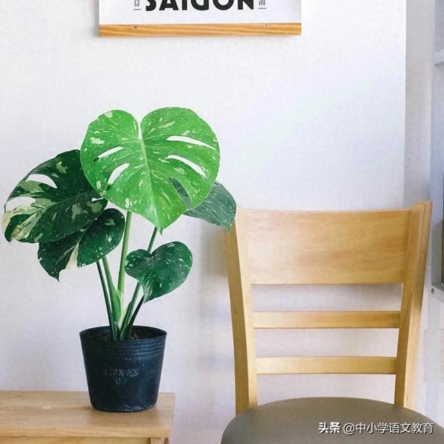 樯倾楫摧是什么意思（每日一课文言文学习范仲淹岳阳楼记带翻译和鉴赏）