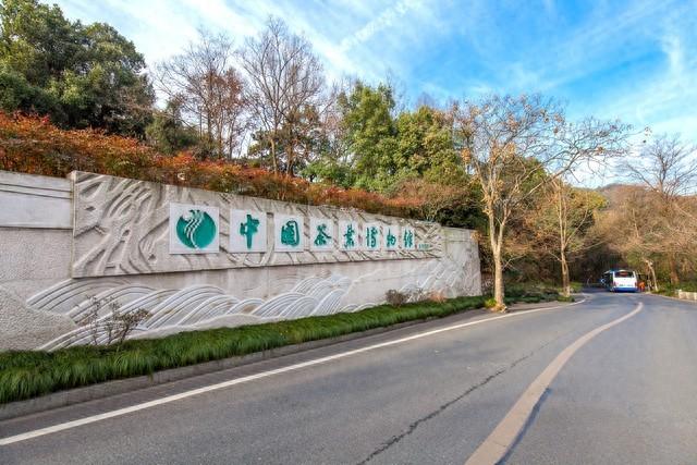 寻秋茶博馆：邂逅杭州龙井畔的隐秘枫情与茶香