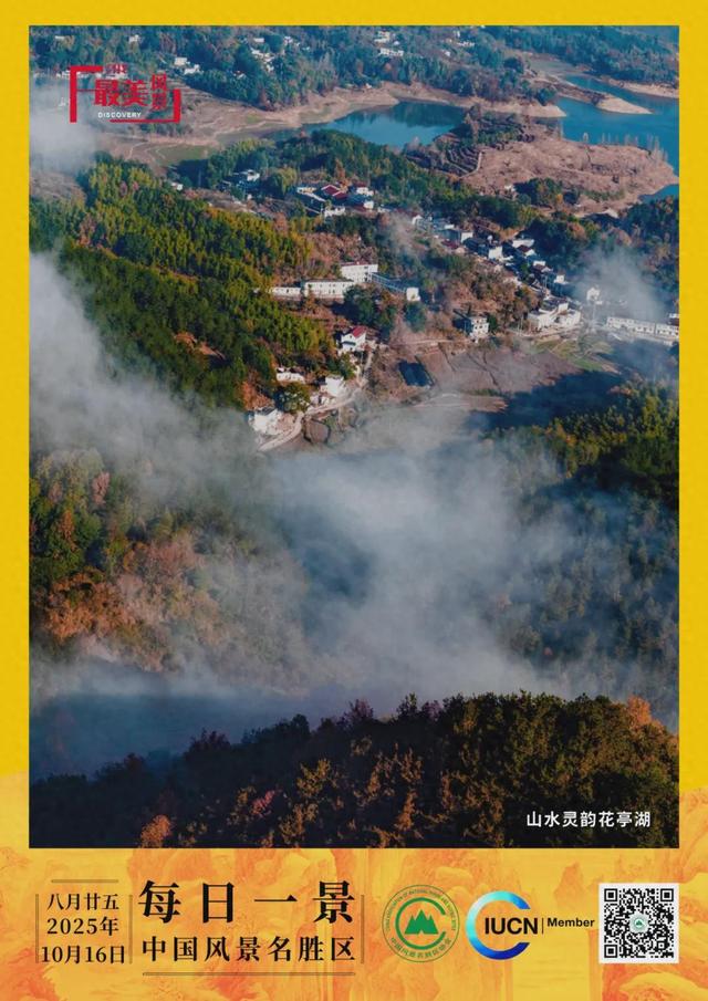 每日一景 | 山水灵韵花亭湖