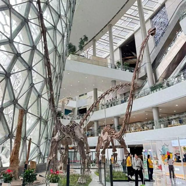 “国庆中国龙奇妙夜” · 第三弹