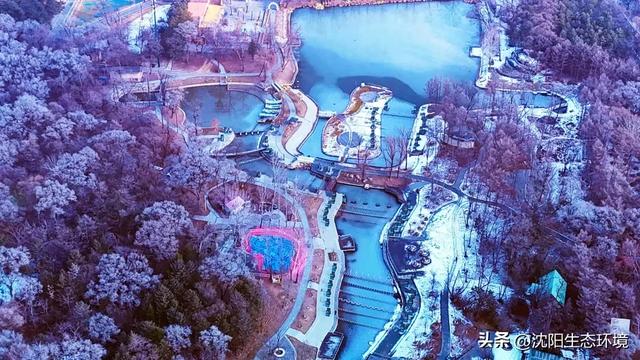 沈阳生态之美丨沈阳植物园 冰雪旅游新场景