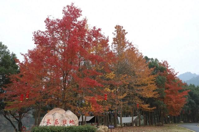长乐庵景区滨水露营休闲暨第四届文化旅游节盛大开启！
