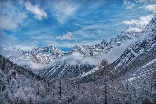 冬日福利！这些景区有优惠
