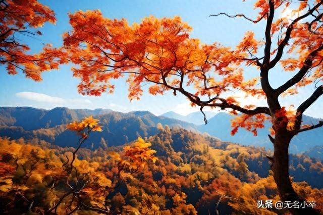 救命啊！原来北方的秋天这么美，请原谅我一副没见过世面的样子