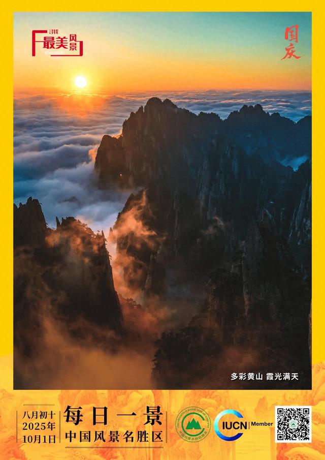 每日一景 | 多彩黄山 霞光满天