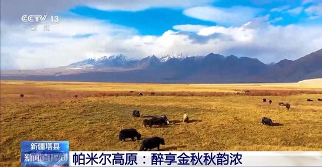 北方多地最美秋色已“上线” 一起感受浓浓秋韵
