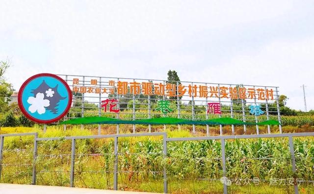 来安宁雁塔村,赏花巷、捏瓦猫!