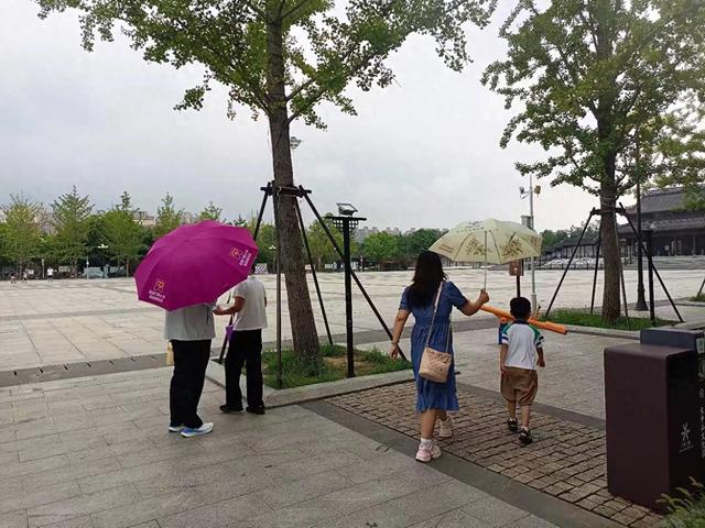 雨中游汝南和母校（作者：朱树理）