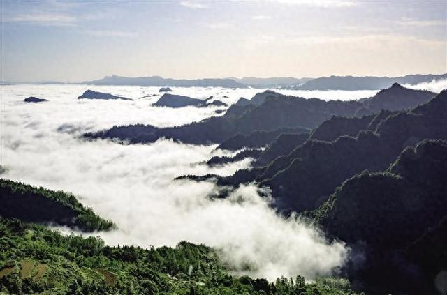 田力丨凹凸不平的洛塔