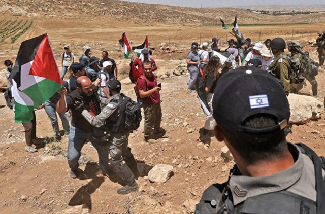 家园被烧树木被砍	，21000 人被捕！巴勒斯坦人的苦难何时终结？