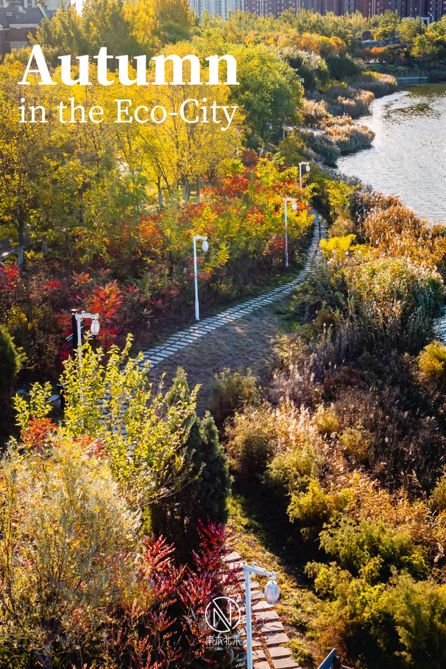 童话世界！深秋的生态城，美成了一幅画